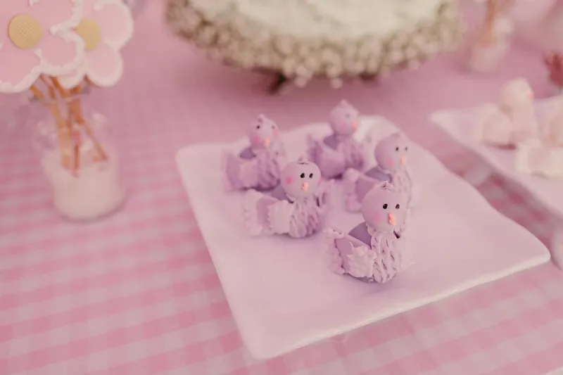 Aniversário Infantil