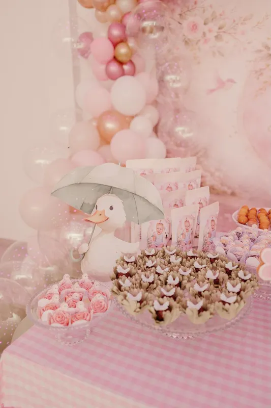 Aniversário Infantil
