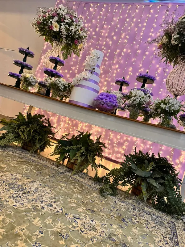 15 Anos