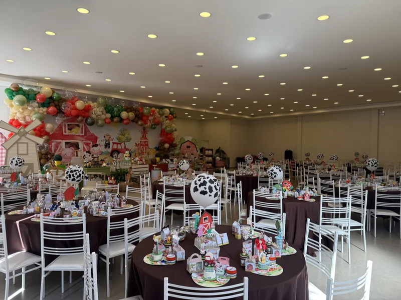 Aniversário Infantil